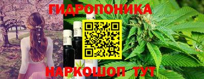 не бодяженный Беслан