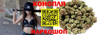 spice Бийск