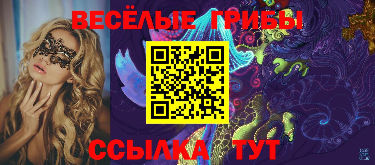 Галлюциногенные грибы Psilocybine cubensis Иваново